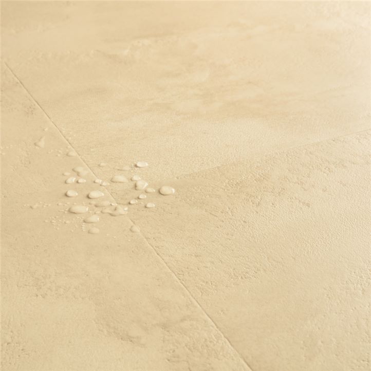 Arenisca 1